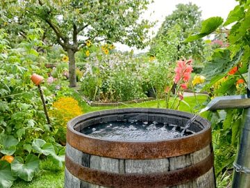 Bonjour à tous ! Aujourd'hui, on se retrouve pour notre 6ème étape : le récupérateur d'eau de pluie 💦🩵
Nous vous offrons un récupérateur d'eau de pluie, qui...