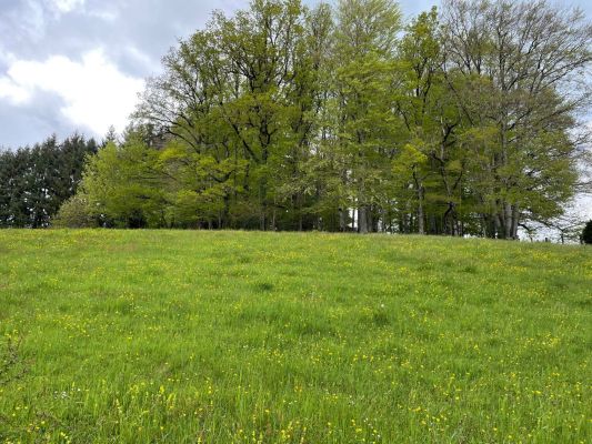 Vente terrain LAFEUILLADE-EN-VEZIE Cantal